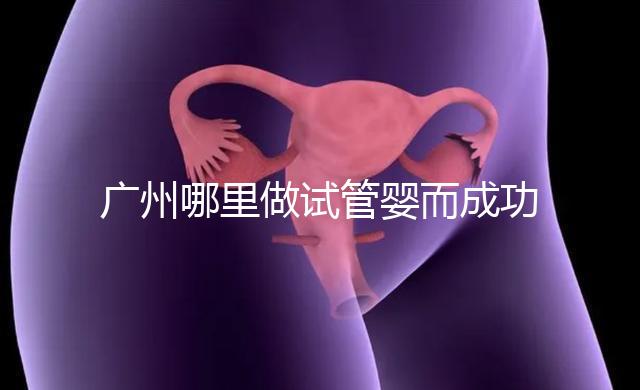 廣州哪里做試管嬰而成功率高？如何提高成功率？
