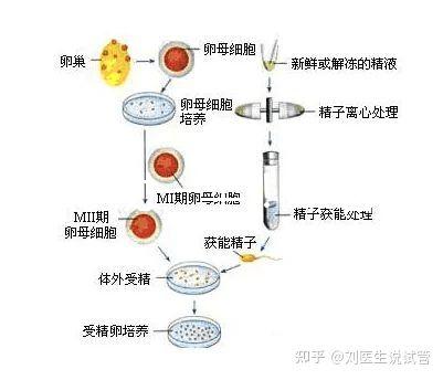 選對(duì)成功一半!來(lái)看看海南哪家醫(yī)院能做三代試管嬰兒