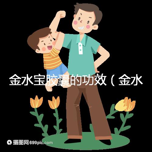 金水寶膠囊的功效(金水寶膠囊的功效與主治作用)