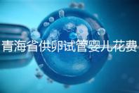 青海省供卵試管嬰兒花費(fèi)明細(xì)表一覽,一次成功助孕費(fèi)用最低