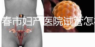 長春市婦產(chǎn)醫(yī)院試管怎樣問題解答，助孕成功率、費用可作參考