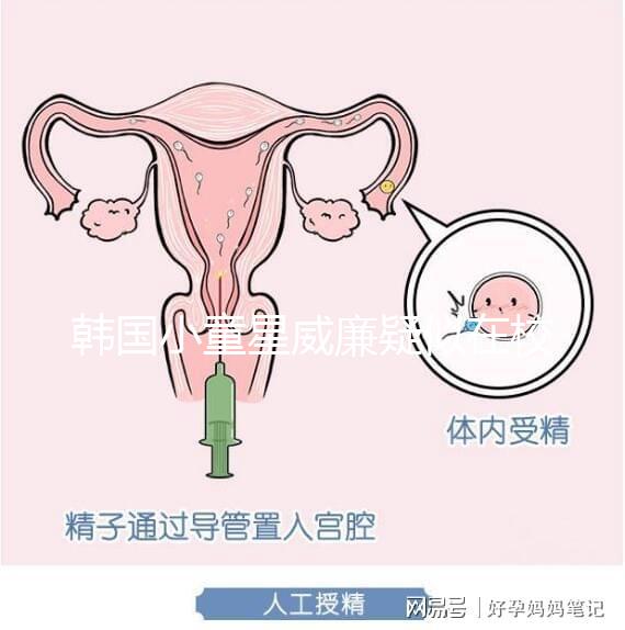 韓國小童星威廉疑似在校被霸凌?父親Sam辟謠:凹高冷人設(shè)