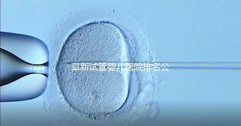 阜新試管嬰兒醫(yī)院排名公開，附2024年助孕費(fèi)明細(xì)