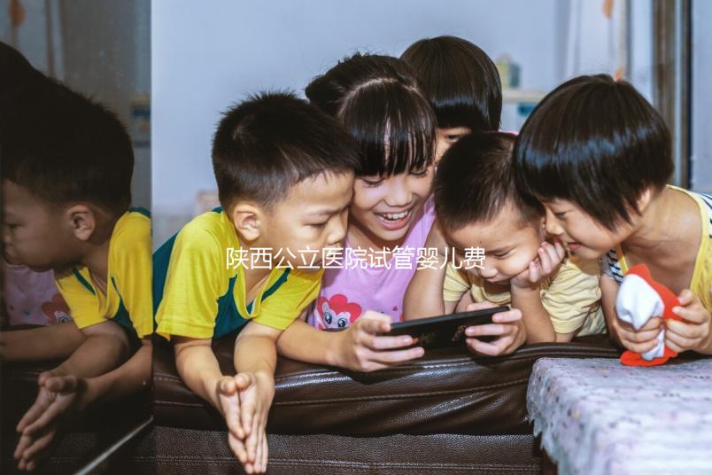 陜西公立醫院試管嬰兒費用明細表，2024助孕一次多少錢看這