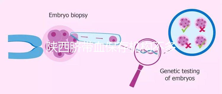 陜西臍帶血保存機構(gòu)不多,咸陽想自存請準(zhǔn)備好費用去合肥