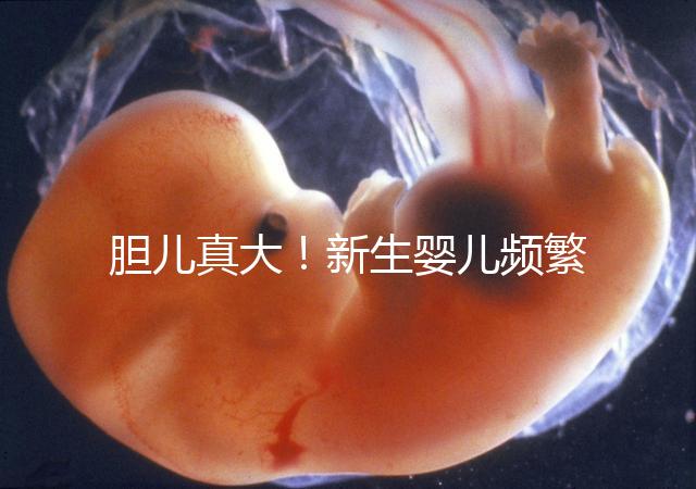 膽兒真大！新生嬰兒頻繁打嗝不要游泳以免嗆水