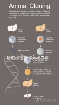 胚胎移植第30天出血別緊張,4個方法助你成功保胎