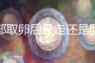 腹部取卵后是走還是臥床？適當走路喝點紅豆水是正確做法