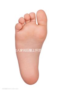 老人家說后壁上懷頂胃是男孩，進來看看民間說法準不準