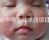 職業中等專業學校項目(中等職業學校專業建設規劃實施方案)