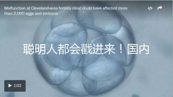 聰明人都會戳進來！國內試管嬰兒和泰國試管嬰兒優缺對比