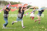 節(jié)約用電等(節(jié)約用電等方面)