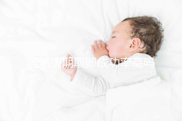 自然周期取卵成功率高嗎？過來人淺談一次成功經驗