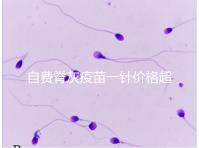 自費(fèi)脊灰疫苗一針價(jià)格超200!與免費(fèi)糖丸相比各有優(yōu)缺點(diǎn)