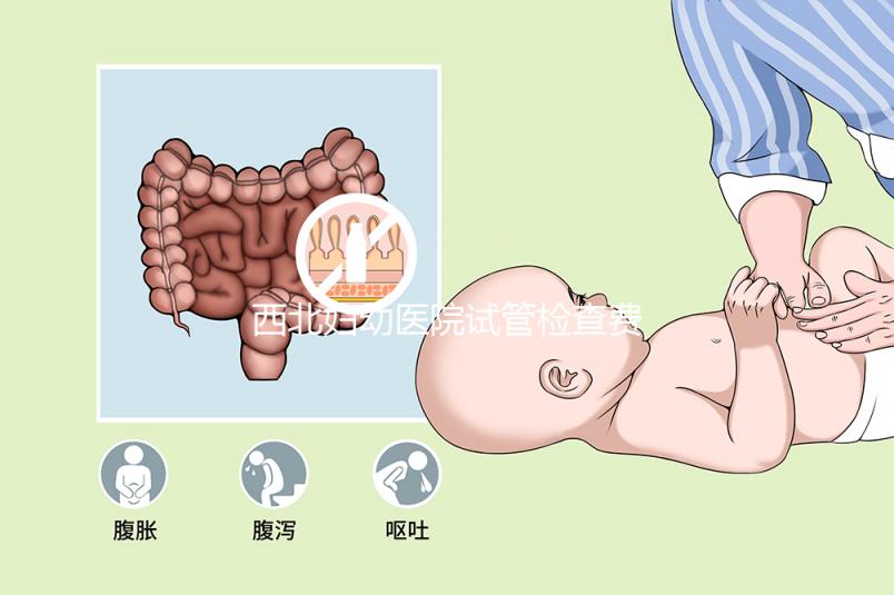 西北婦幼醫院試管檢查費用流出！做完記得來這領報告單
