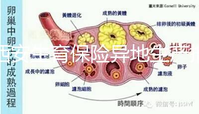 西安生育保險異地生產報銷流程及程序公開,不懂收藏