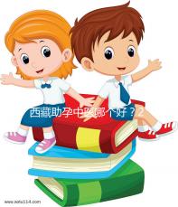 西藏助孕中醫哪個好？2024年新版專家排名