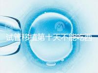 試管移植第十天不能吃西瓜！影響胚胎發育可不是玩笑話