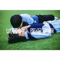 試管納入醫保了嘛