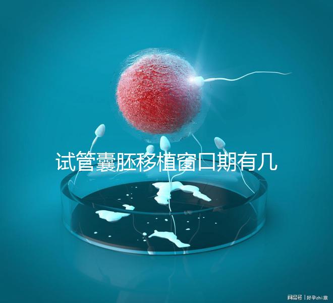 試管囊胚移植窗口期有幾天看這，弄明白什么時候更易著床