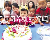 試管期間養(yǎng)蜘蛛好嗎？人們告訴你，這些影響應(yīng)該早知道