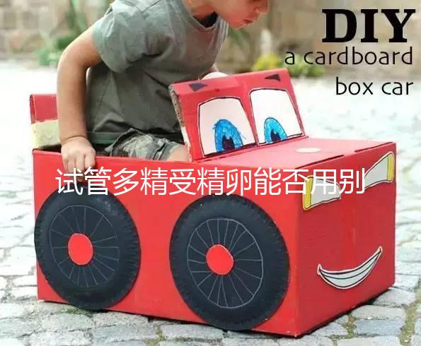 試管多精受精卵能否用別還不造,強行移植后果嚴(yán)重要注意