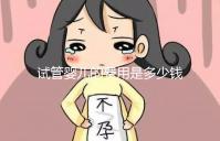 試管嬰兒的費(fèi)用是多少錢（試管嬰兒的費(fèi)用是多少錢？）