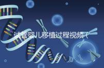 試管嬰兒移植過程視頻(試管嬰兒移植過程視頻播放)