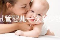 試管嬰兒一次多少錢(qián)