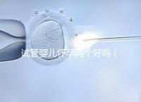試管嬰兒懷孕兩個好嗎(試管放一個還是兩個好)