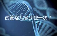 試管嬰兒多少錢一次？