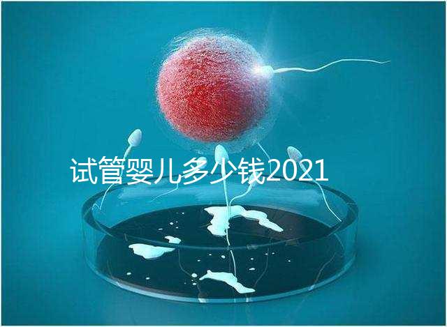 試管嬰兒多少錢2021(試管嬰兒多少錢2021年成功率)