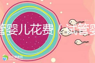 試管嬰兒花費(試管嬰兒花費多少錢?)