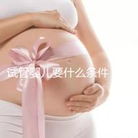 試管嬰兒要什么條件(試管嬰兒要什么條件才能做)