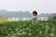 試管嬰兒要多久(試管嬰兒要多久才能完成)