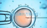 試管嬰兒超長(zhǎng)方案流程(長(zhǎng)方案試管詳細(xì)流程)