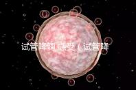 試管降調 感受(試管降調后的反應)