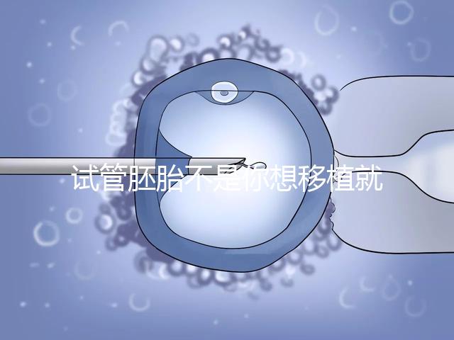 試管胚胎不是你想移植就可以移動的，需要滿足這些條件！
