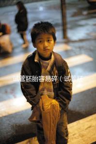 試管胚胎容易碎(試管胚胎容易碎裂嗎)