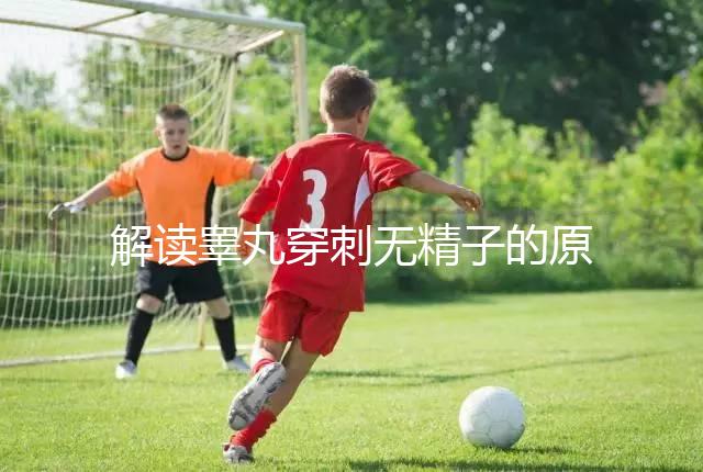 解讀睪丸穿刺無精子的原因，治愈性不大供精或是最后選擇