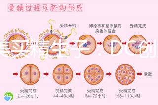 赴美買精生子：DC創(chuàng)始人葉海洋怒砸50萬(wàn)生下五國(guó)混血兒