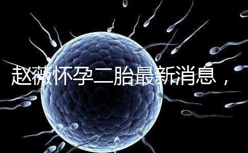 趙薇懷孕二胎最新消息,大肚子照公布網友紛紛送祝福