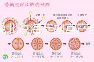 誰(shuí)說(shuō)北京海淀剖宮產(chǎn)自付費(fèi)用高,了解2024年生育保險(xiǎn)報(bào)銷(xiāo)比例?