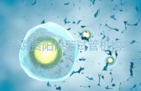 誰說貴陽供卵試管機構(gòu)多給錢就不用排隊,醫(yī)生:不亂收費