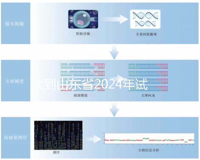談到山東省2024年試管嬰兒的費用，錢主要花在這些地方