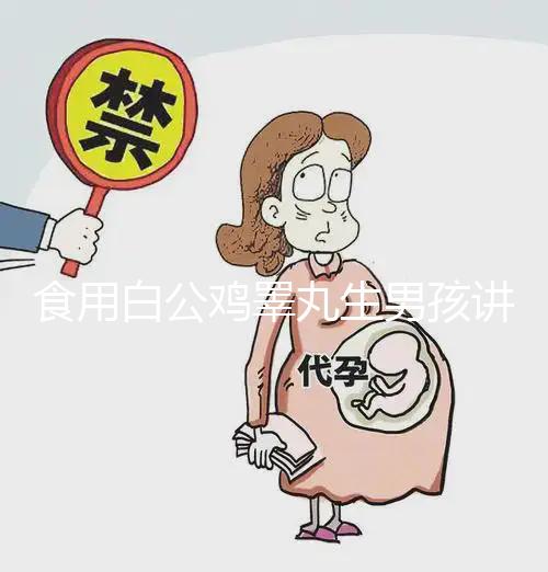 食用白公雞睪丸生男孩講方法，1分鐘說清楚具體怎么吃