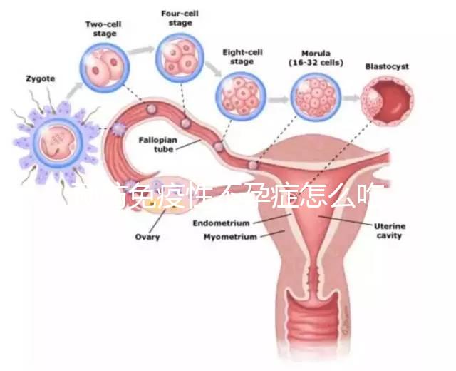 預防免疫性不孕癥怎么吃？