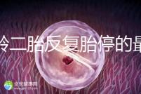 高齡二胎反復胎停的最大原因很簡單，染色體異常占50%