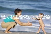 黑河哪里能做供卵試管嬰兒?美國(guó)/柬埔寨成首選