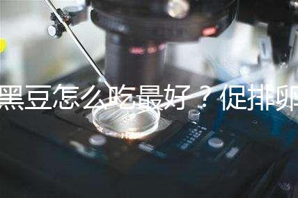黑豆怎么吃最好？促排卵備孕的姐妹們快看這里